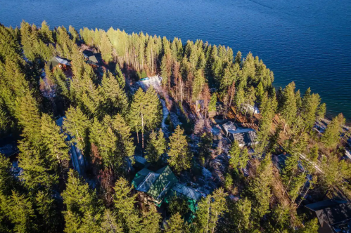 Aerial view of a forested area with cabins near a calm lake, surrounded by tall trees and clear blue water.